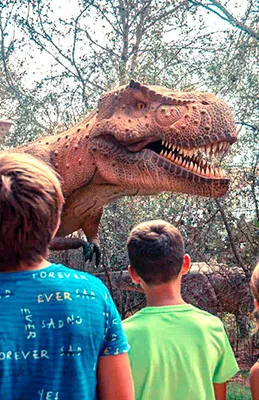 Location top element